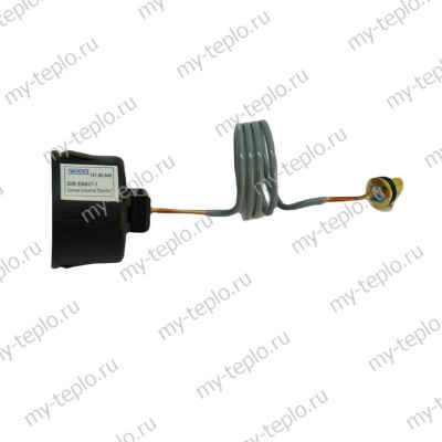 Манометр для котла Navien Ace 10-40 (manomACE)